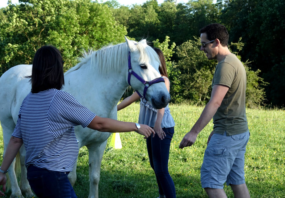 Coaching Cheval équipe - équicoaching Avec Ekilia